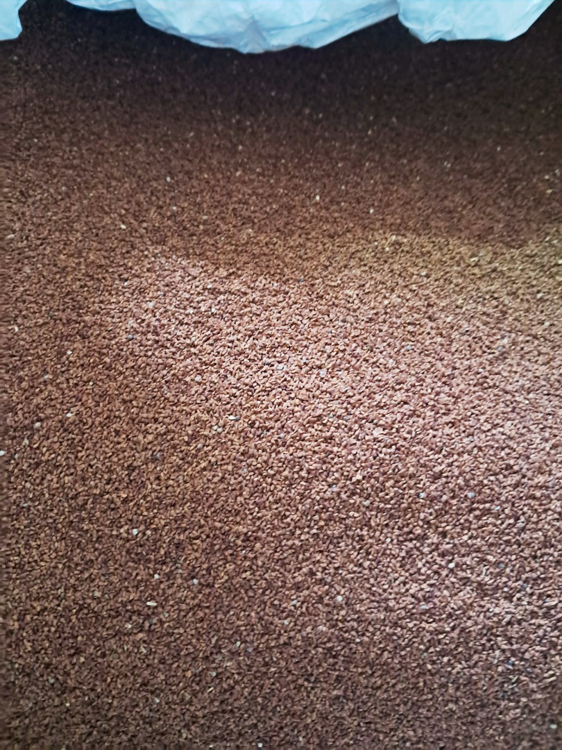 I offer Evening Primrose, cleaned, unsprayed, 11 tons