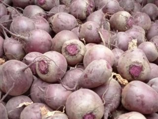 I'm selling young, cut beetroot and beet greens -