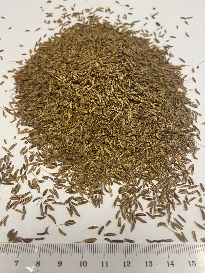 Cumin seeds