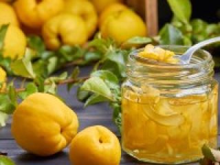 The newly created organic Japanese quince plantation offers for