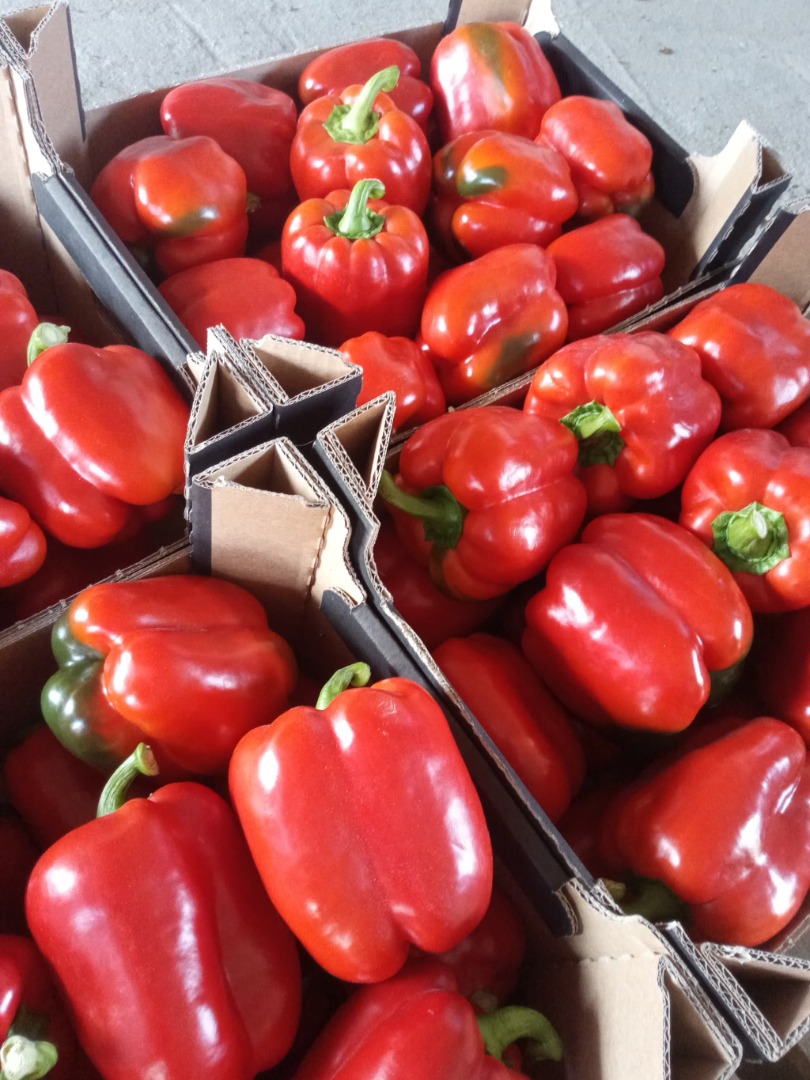I will establish cooperation with the collection of red peppers of the block type