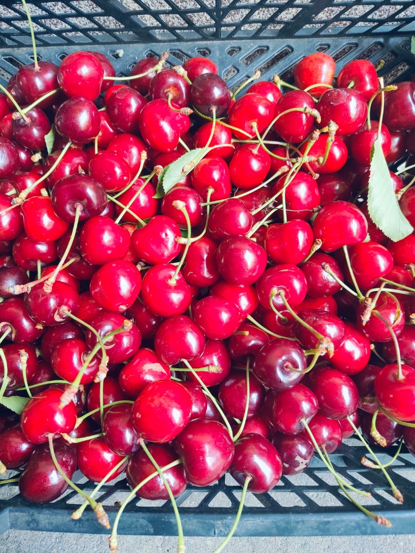 Hello, I'd like to collaborate with a cherry buyer