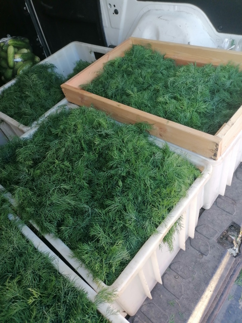 Fresh, will be picked to order