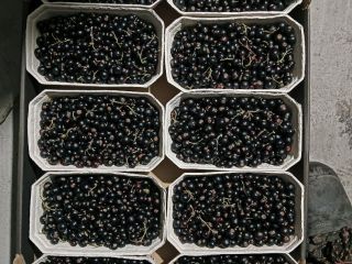 I will sell a black crossbar, 500g, a pan