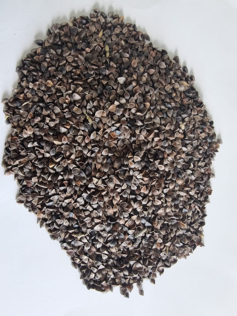 I'm looking to buy a carload of buckwheat for groats