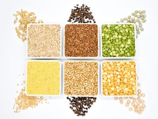 OUR OWN PRODUCTION – KAMPOL RUSIEC We offer high-quality
