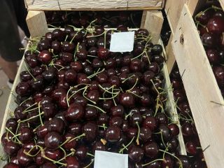 Hello, We currently have 50 tonnes of fresh sweet