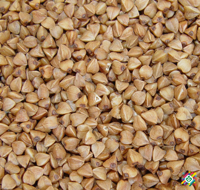 We constantly buy buckwheat from the EU for export to Ukraine