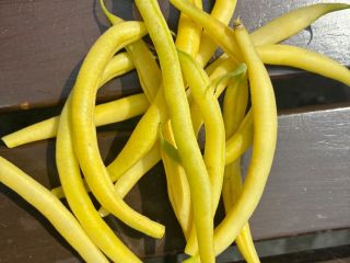 Various quantities of beans for sale