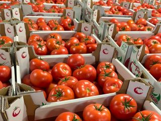 I will sell raspberry tomatoes - Madano.