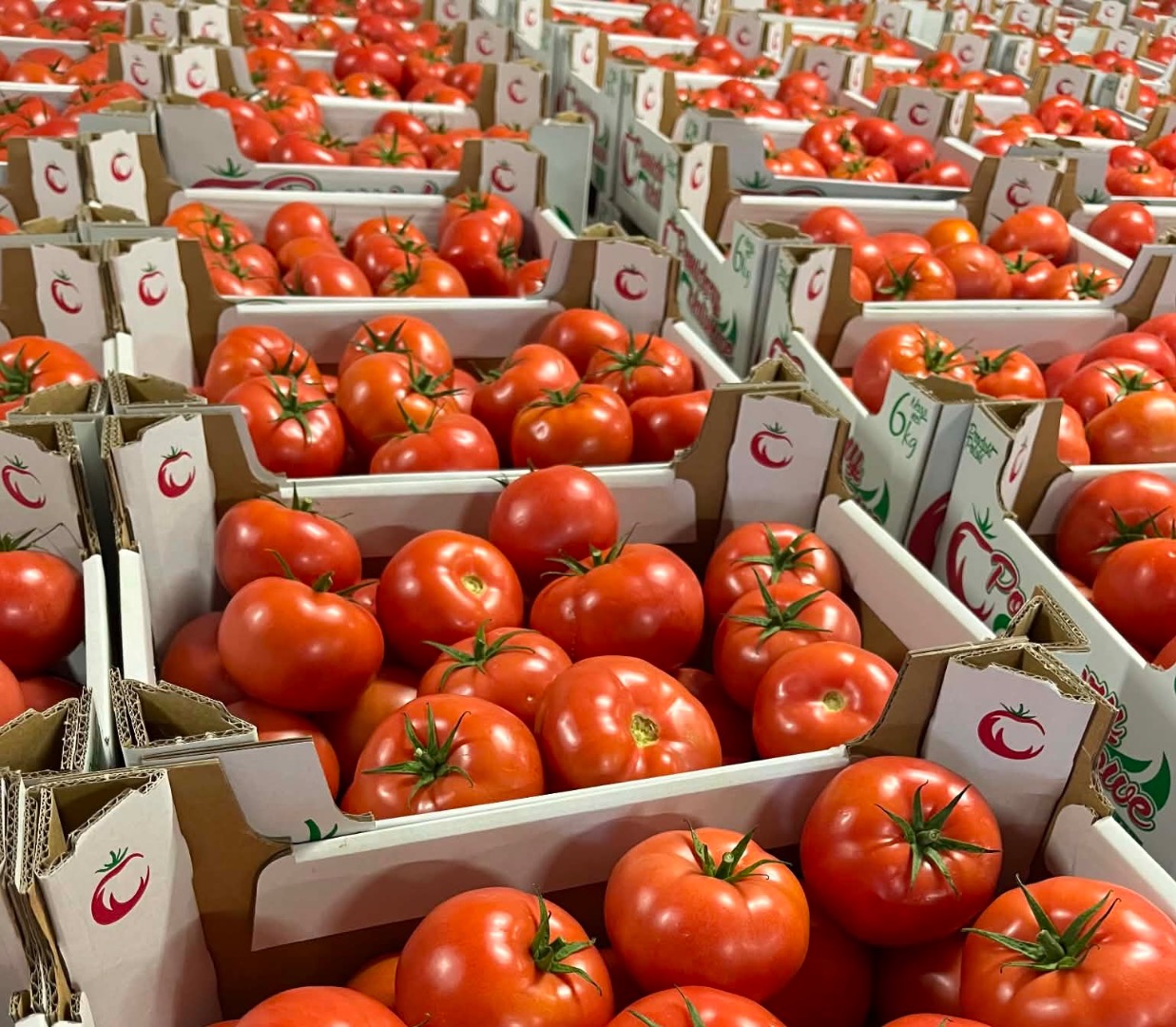 I will sell raspberry tomatoes - Madano