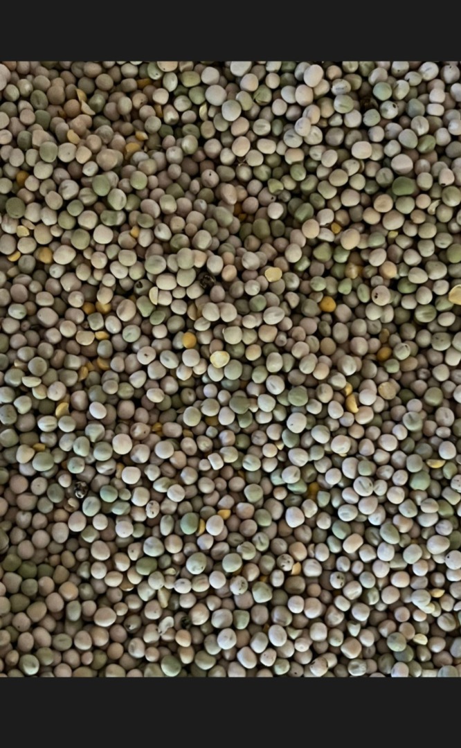 I will sell peas in large quantities
