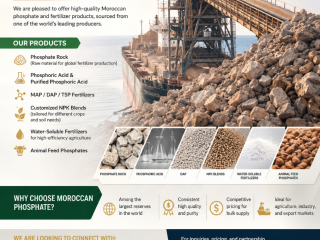 Unlock Premium Phosphate Supply from Morocco We are pleased