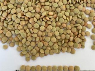 We offer green lentils calibrated in[phone number] fractions: -