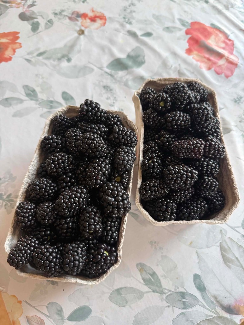 Hello, I have blackberries for sale, please contact me
