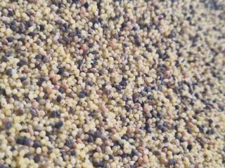 I have a millet groat for sale, please contact