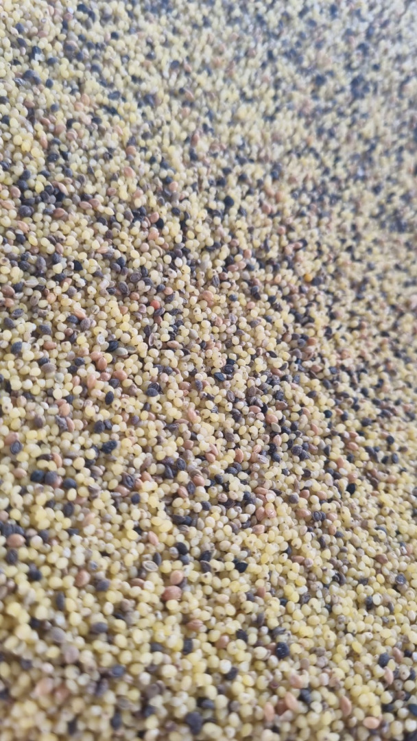 I have a millet groat for sale, please contact me