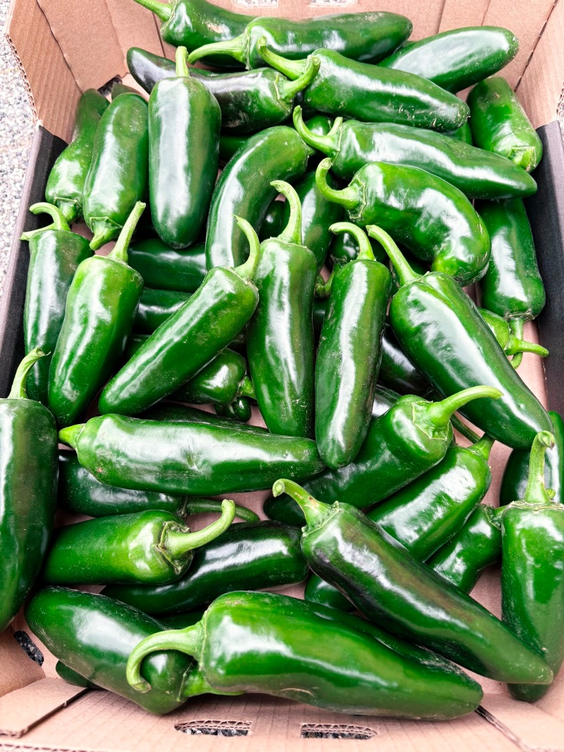 Fresh jalapeños for sale