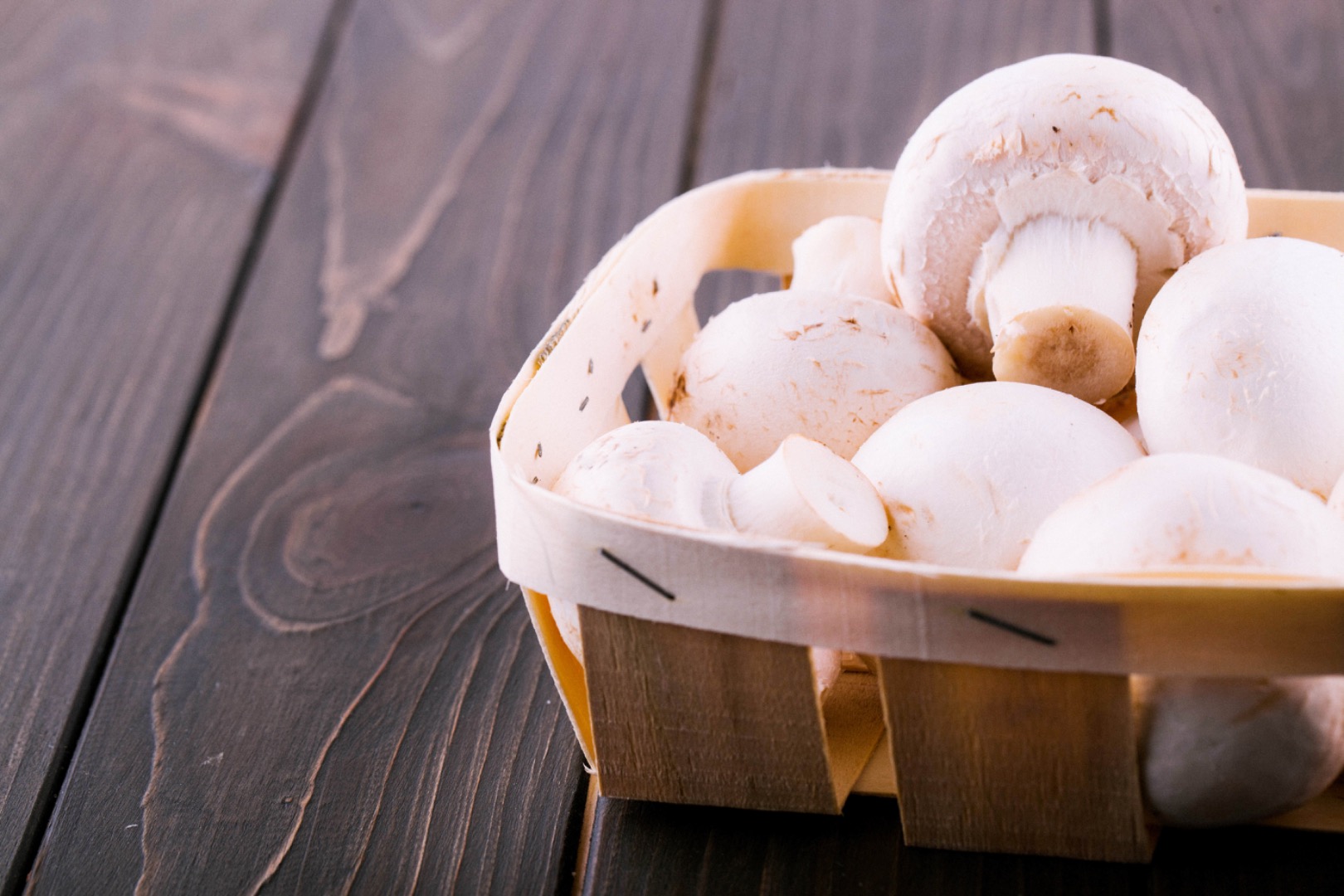I offer fresh white and brown mushrooms in bulk quantities