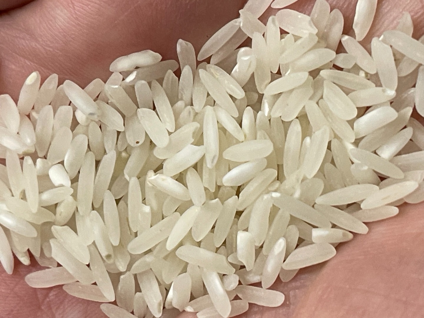 Long grain white rice 5% broken in 50kg bag