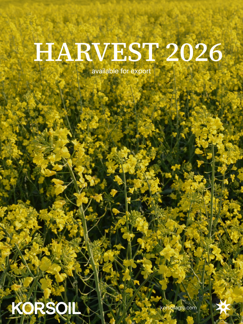 Direkt vom Erzeuger: Ukrainischer Raps, Ernte 2026 Korsoil Agro Group, ein landwirtschaftlicher Produzent aus der Ukraine, bietet Raps aus eigener Erzeugung an