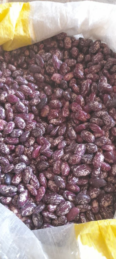 We are looking for wholesale buyers of beans from Uzbekistan