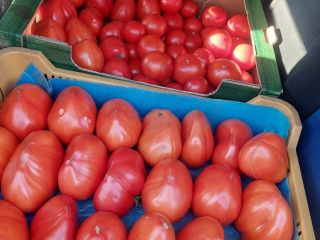 I sell fresh, tasty vegetables: Tomatoes Cucumbers Zucchini