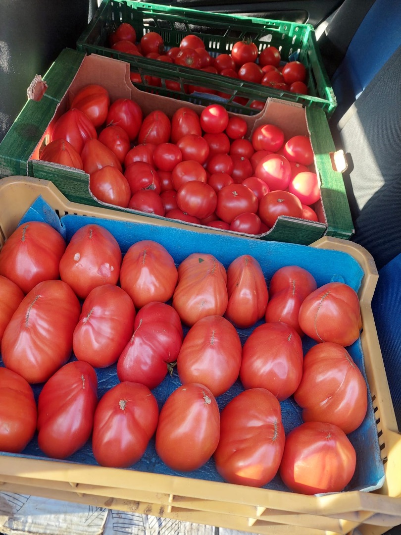 I sell fresh, tasty vegetables: Tomatoes Cucumbers Zucchini