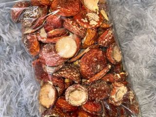 I am selling boletus mushrooms as in the picture