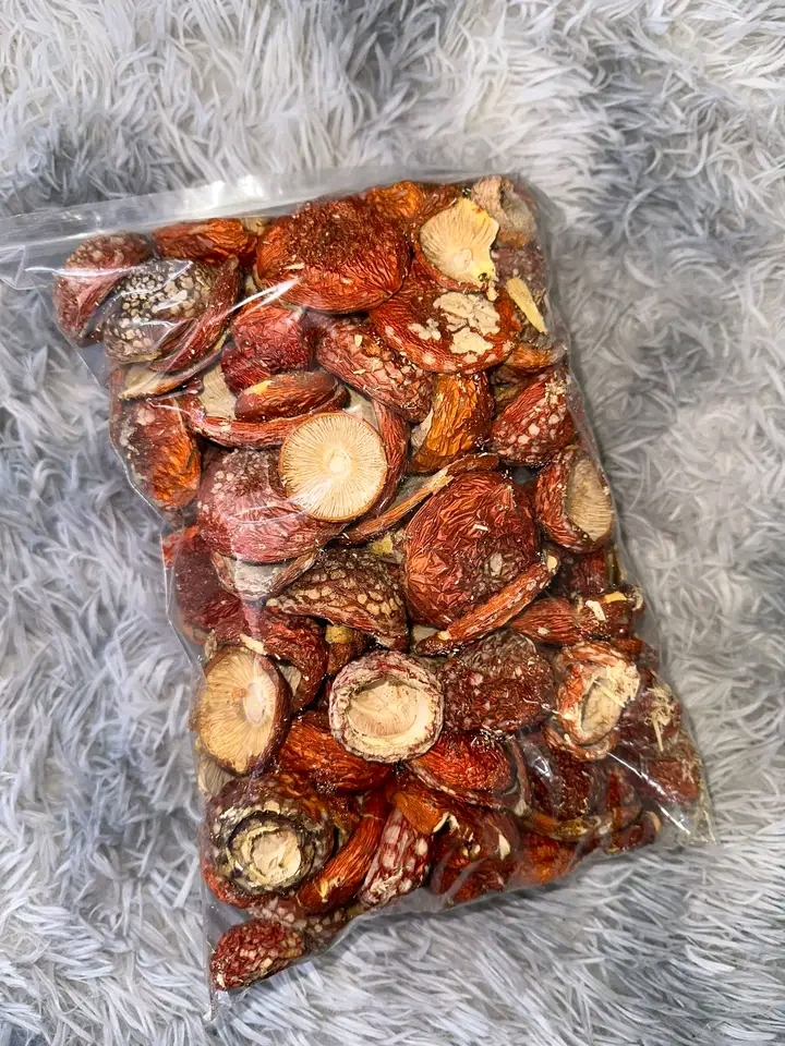 I am selling boletus mushrooms as in the picture