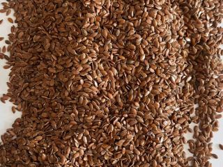 We are a global supplier for oil seeds, grains