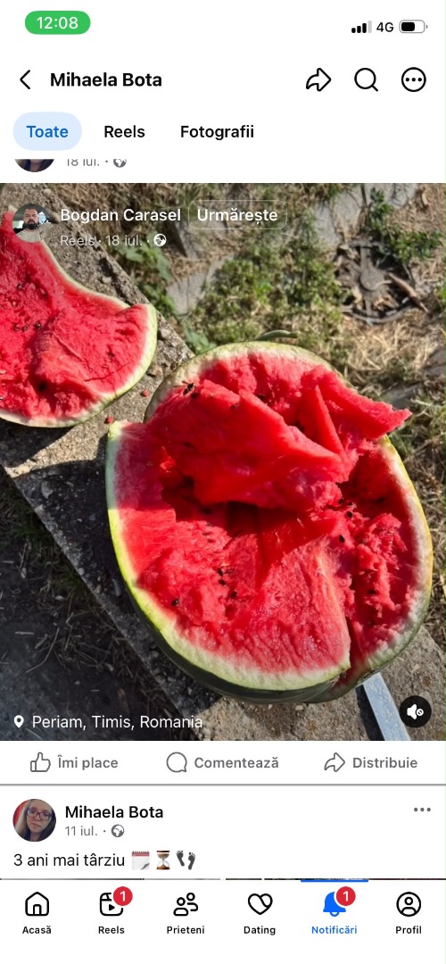 Watermelon, near