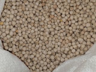 Chickpeas in 50kg bags, selected 800kg on the rocks