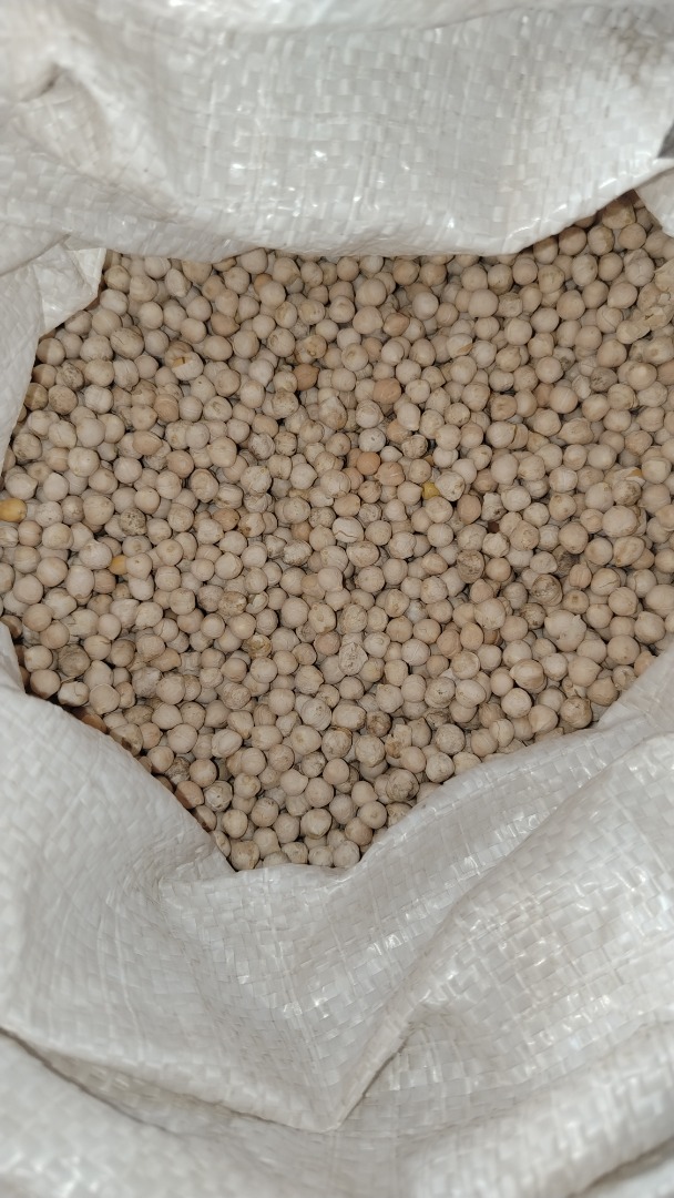 Chickpeas in 50kg bags, selected 800kg on the rocks
