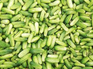 I'm starting a light Atomic cucumber, perfect for pickling