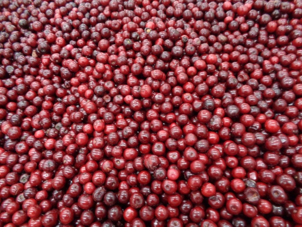 I am selling a 21-ton shipment (full refrigerated truckload) of frozen Nadwiślanka cherries