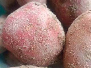 I will sell Bella rosa and Redsonia potatoes in