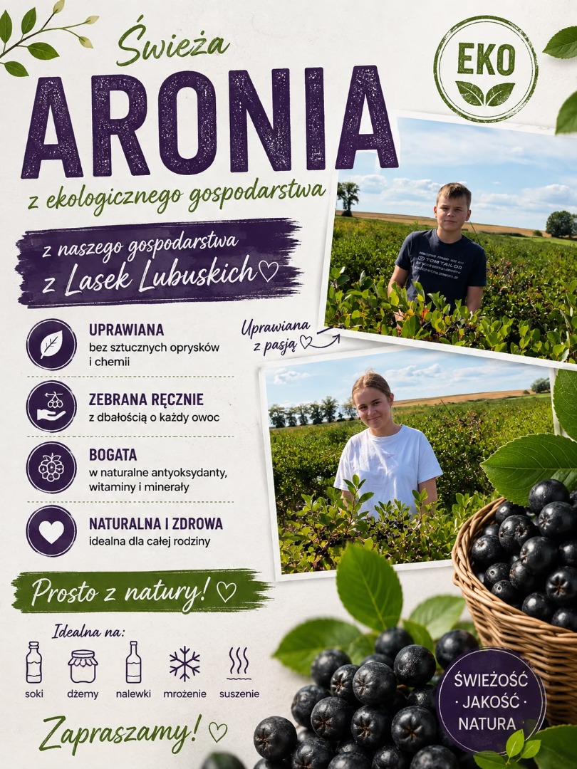 Chokeberries are available for collection immediately after harvesting approximately 20 tons from the plantation, with a single harvest of 5 tons on August 15th