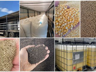 AGRICULTURAL PRODUCTS FROM UKRAINE – ONGOING COLLABORATION We are