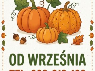 What we offer for wholesale (availability from September): •