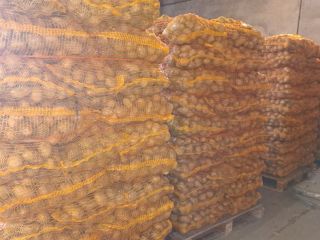 Soraya potatoes, caliber 4+, quantity from 1 ton to