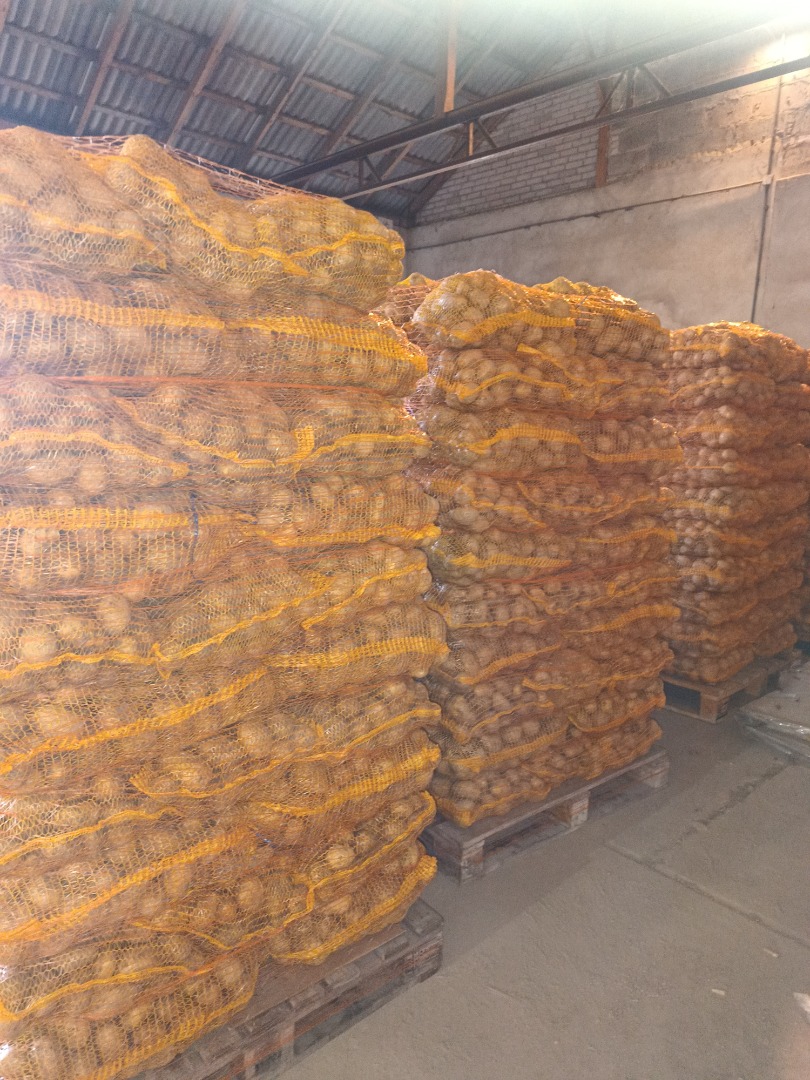Soraya potatoes, caliber 4+, quantity from 1 ton to 6.5 tons