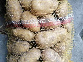 Hello, I am selling edible potatoes, Gala variety. Price