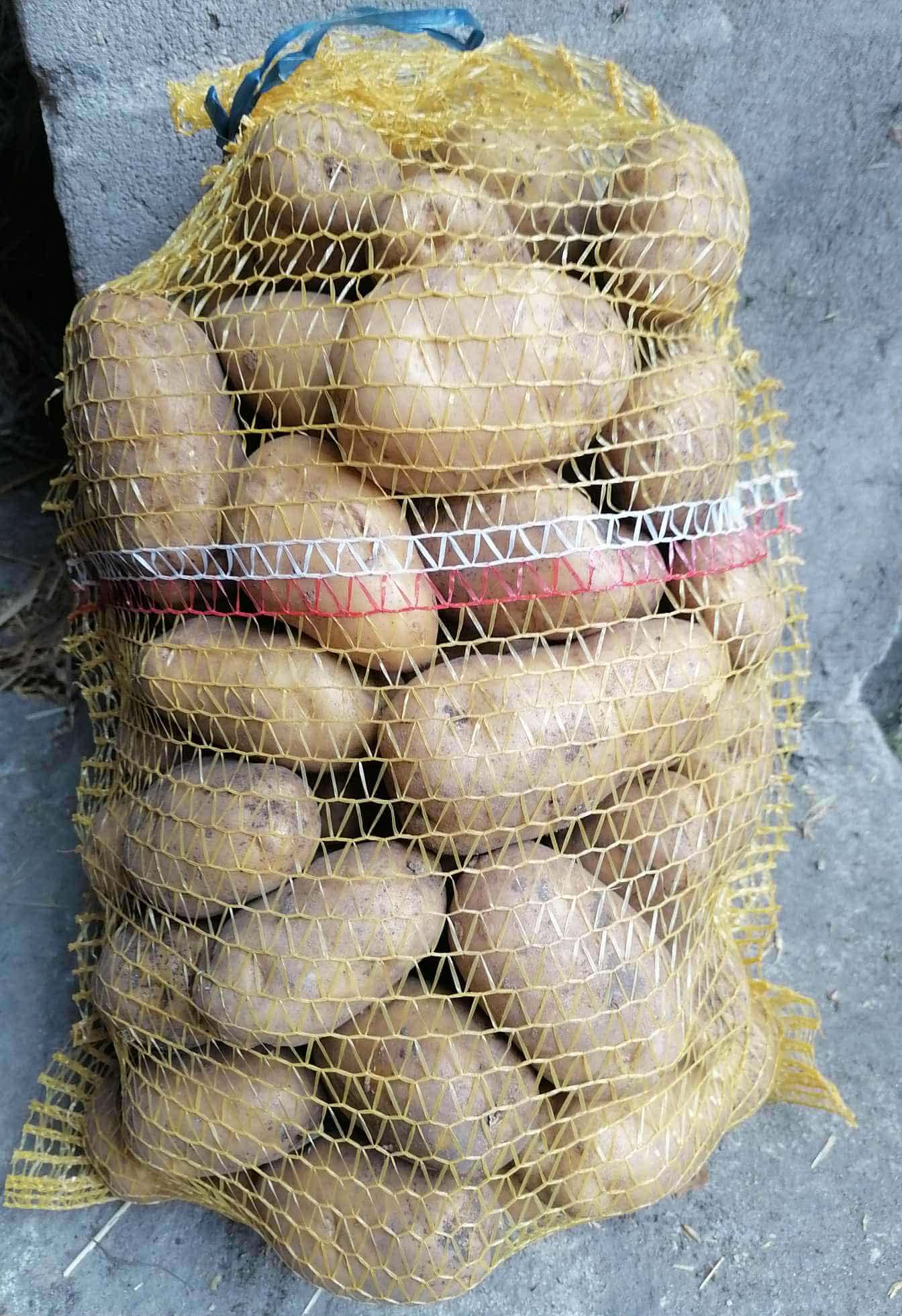 Hello, I am selling edible potatoes, Gala variety