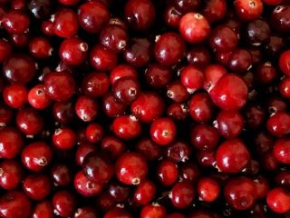 High-quality garden cranberries. We ship to Poland once a