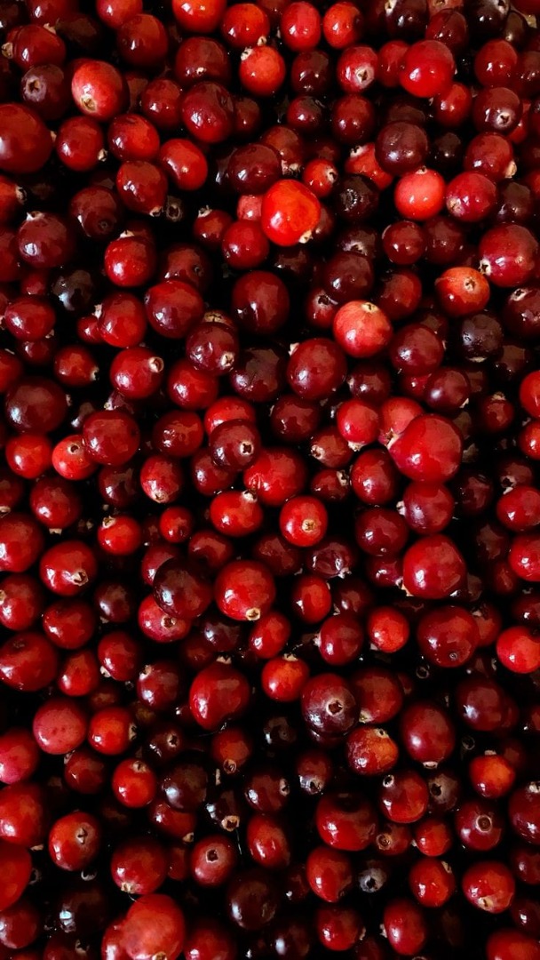 High-quality garden cranberries