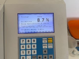 White sorghum production 2026, clean, dry, very good analyses