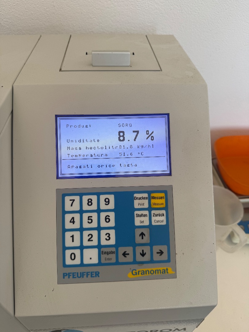 White sorghum production 2026, clean, dry, very good analyses Hectoliter mass 81.8 protein 9.65 Humidity 9