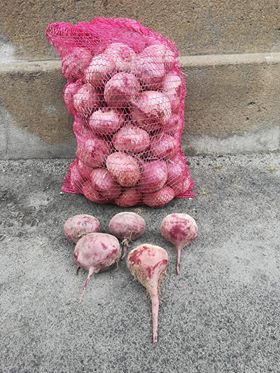 I will sell beetroot WODAN, caliber to be agreed, the ability to wash, packaging to be agreed Bus quantities