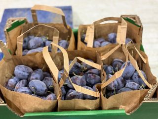 10 kg wooden crates – fresh Stanley plums packed